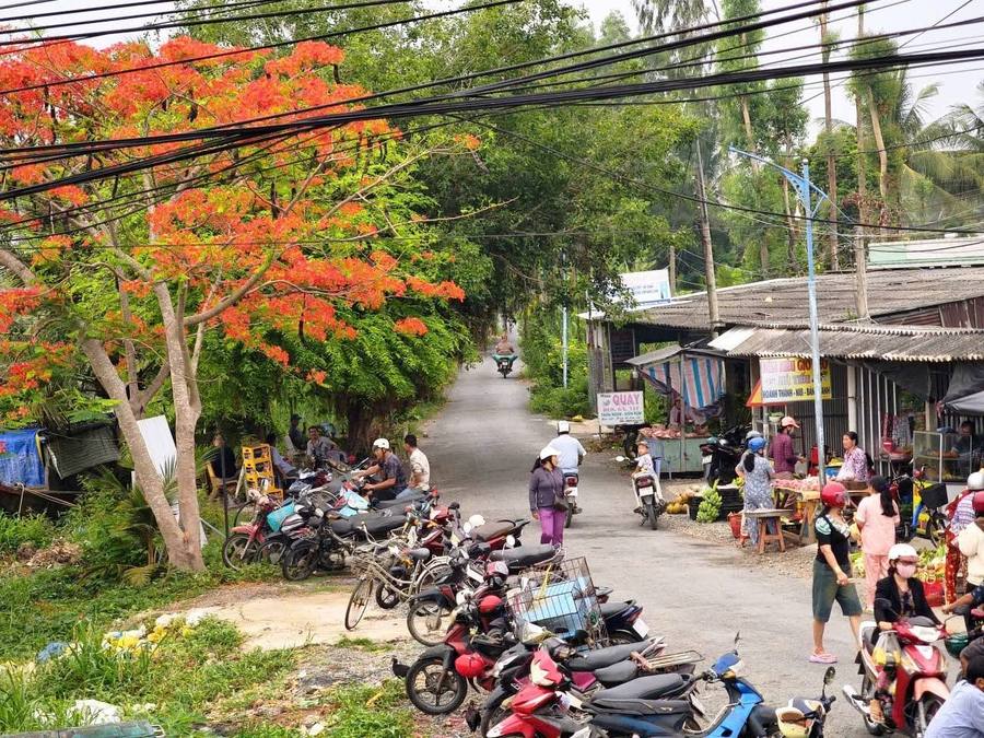 Chợ chồm hổm ven kinh
