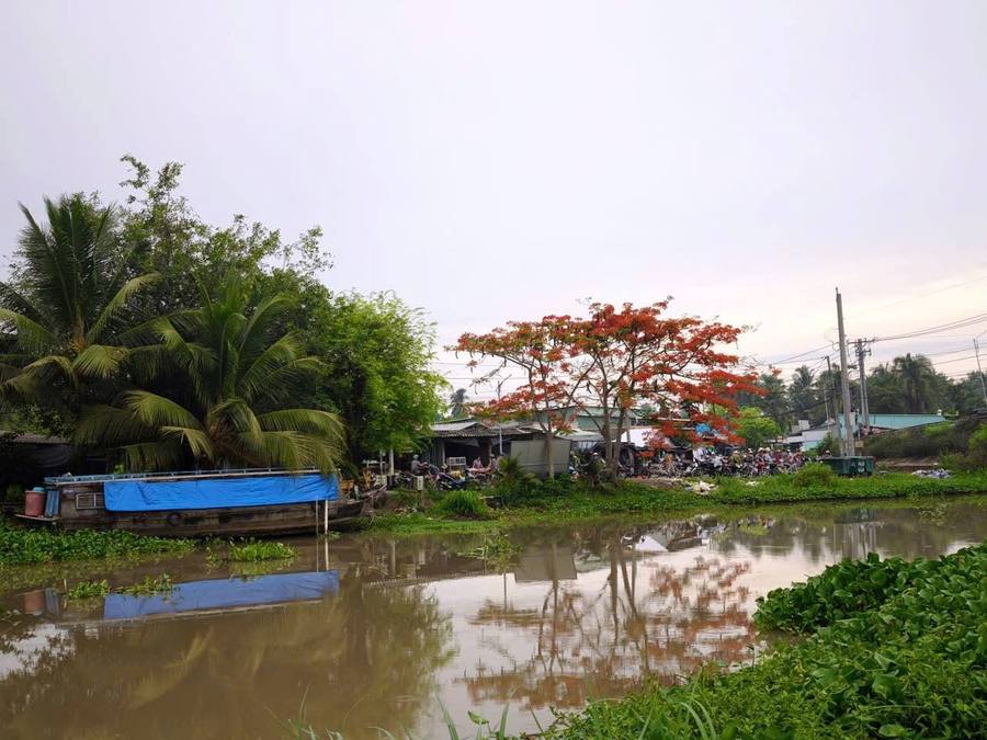 Chợ chồm hổm ven kinh