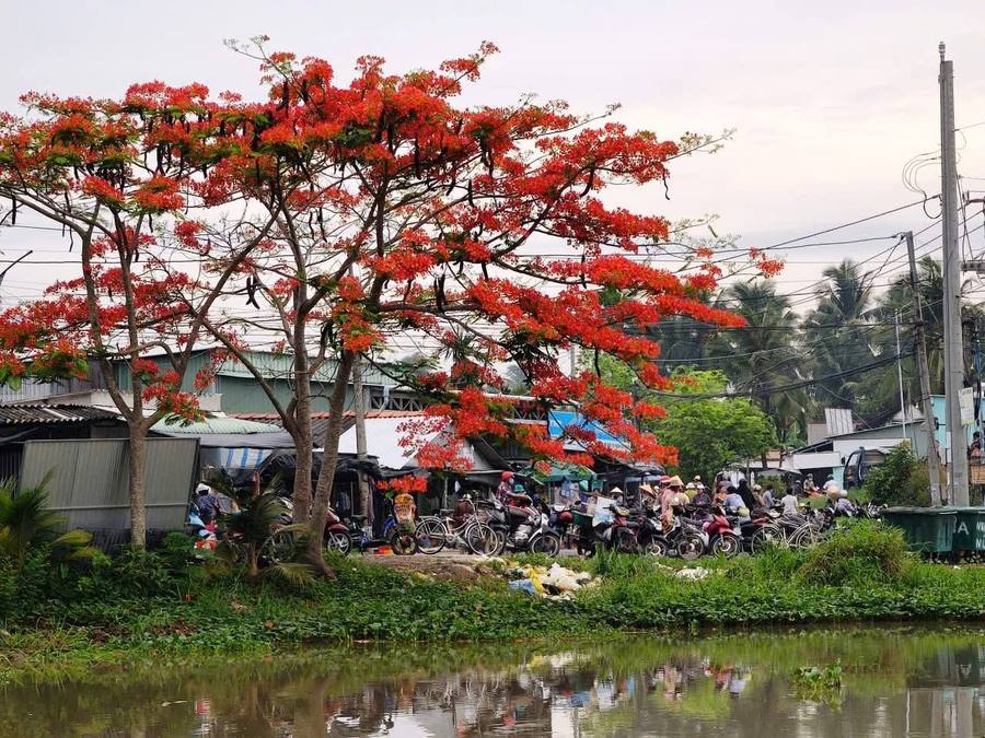 Chợ chồm hổm ven kinh