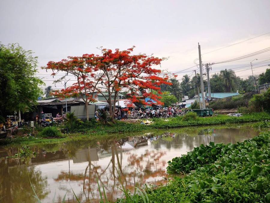 Chợ chồm hổm ven kinh