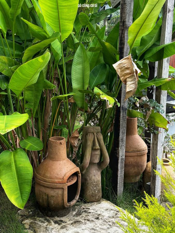 Giồng cát homestay