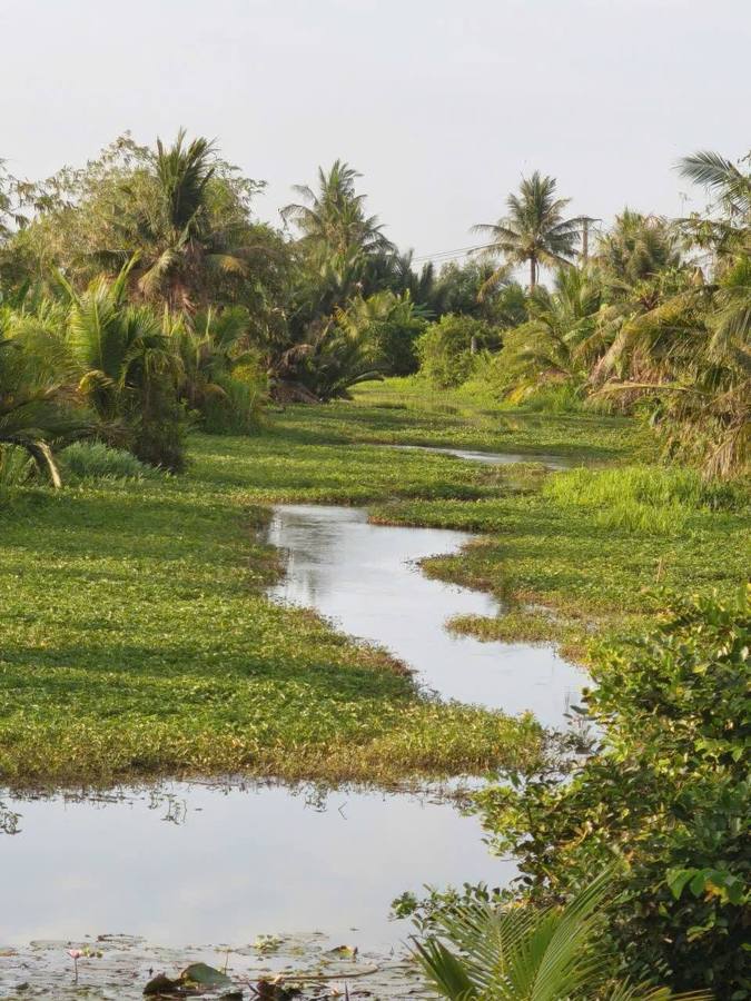 Rạch Sâu