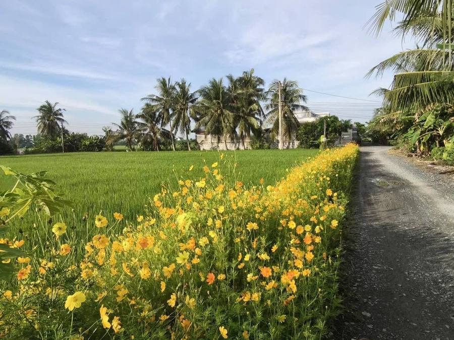 Tổng hợp