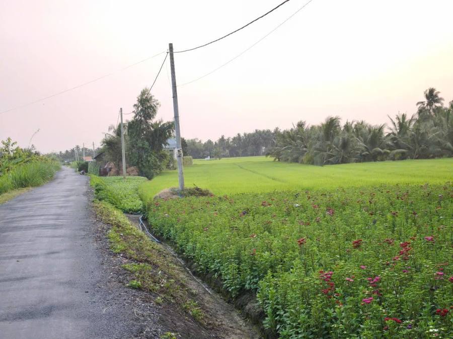 Tổng hợp