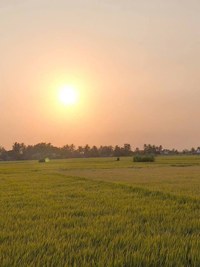Tổng hợp