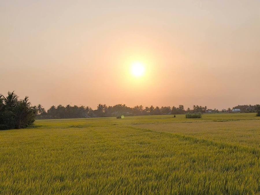 Tổng hợp
