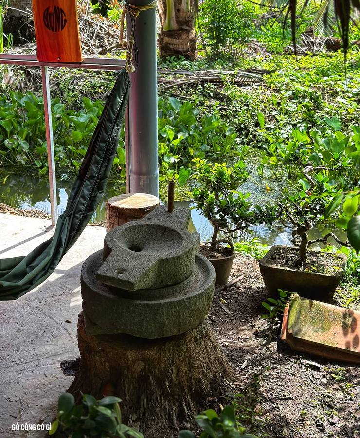 Vườn Rừng Tâm Phúc — bánh xèo cá lóc, cuốn rau rừng