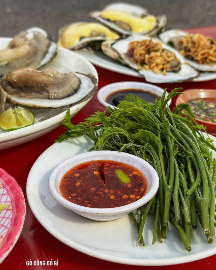 Hàu Đại Dương