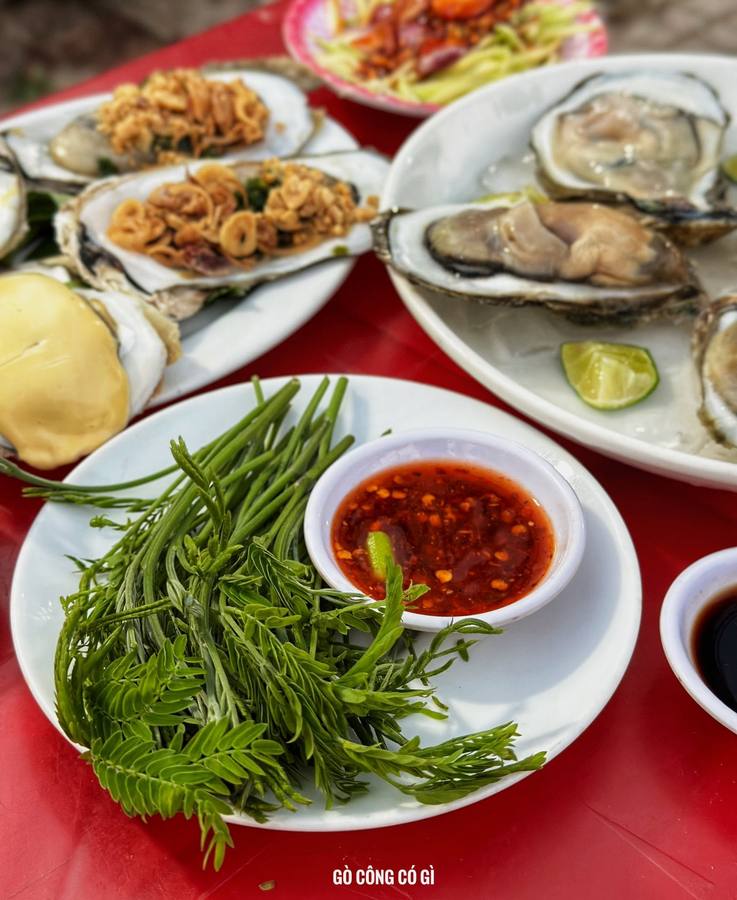 Hàu Đại Dương