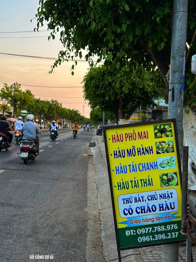 Hàu Đại Dương