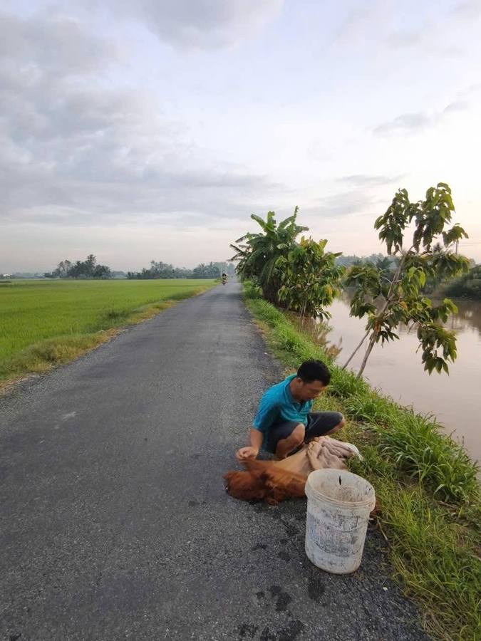Tổng hợp đời sống