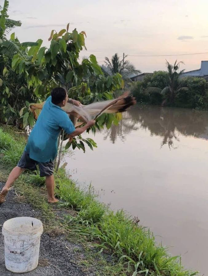 Tổng hợp đời sống