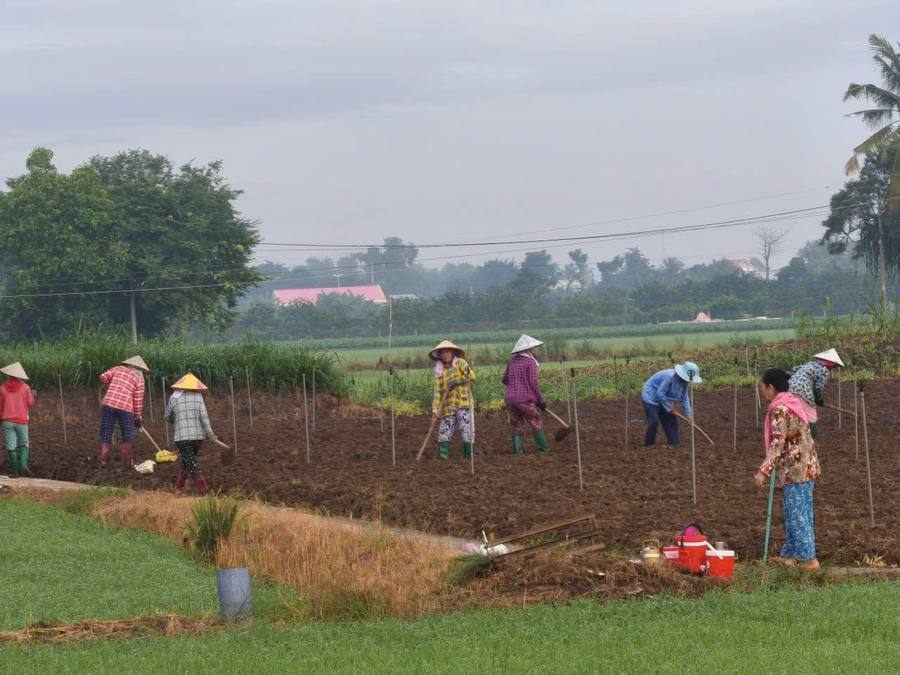 Tổng hợp đời sống