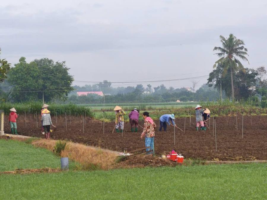 Tổng hợp đời sống