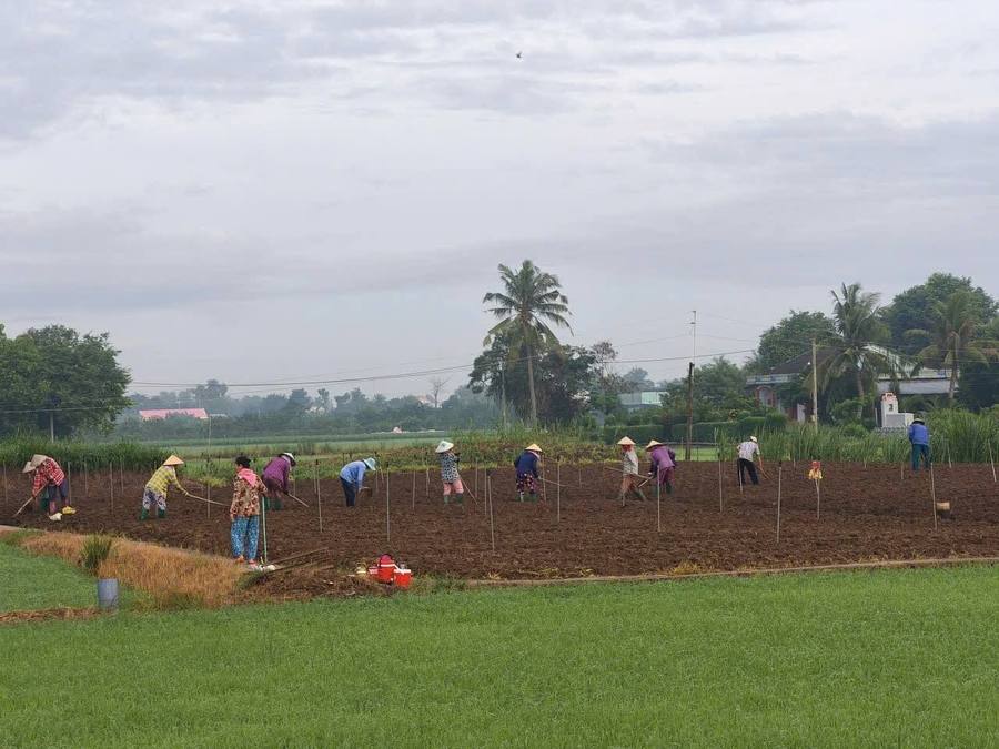 Tổng hợp đời sống