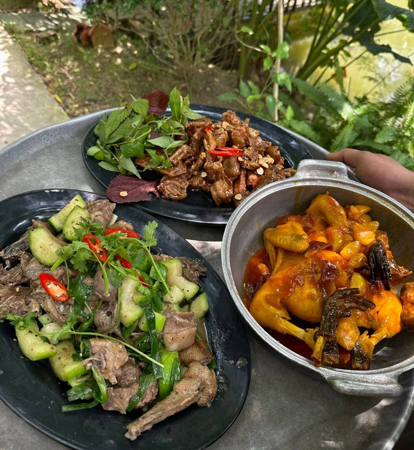 NHÀ BÊN SÔNG