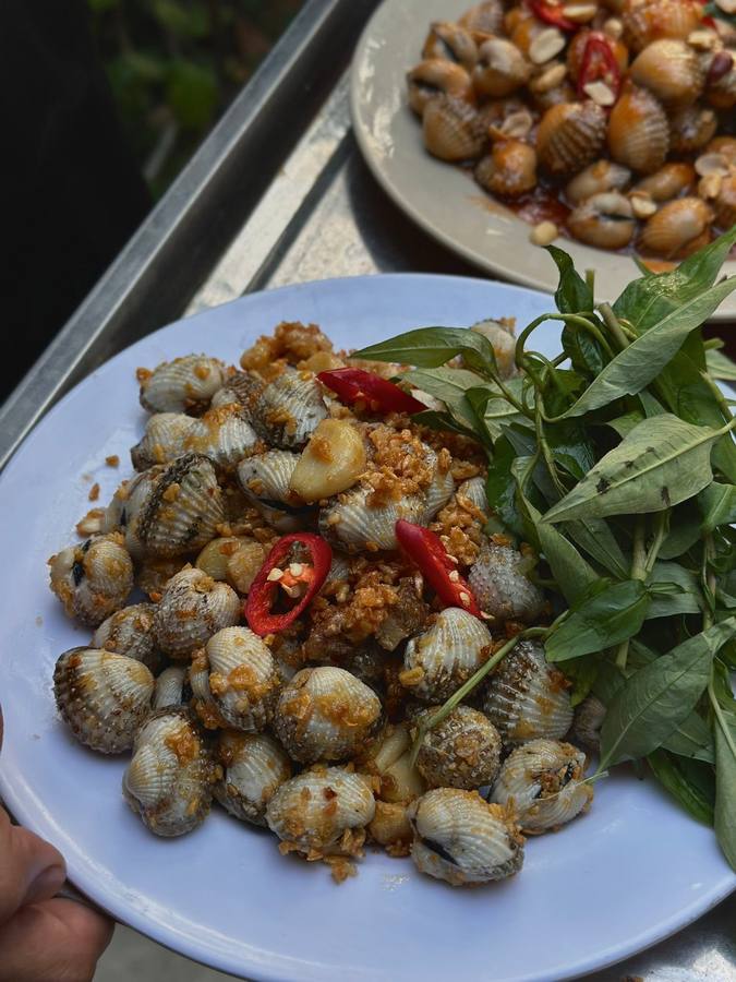 NHÀ BÊN SÔNG