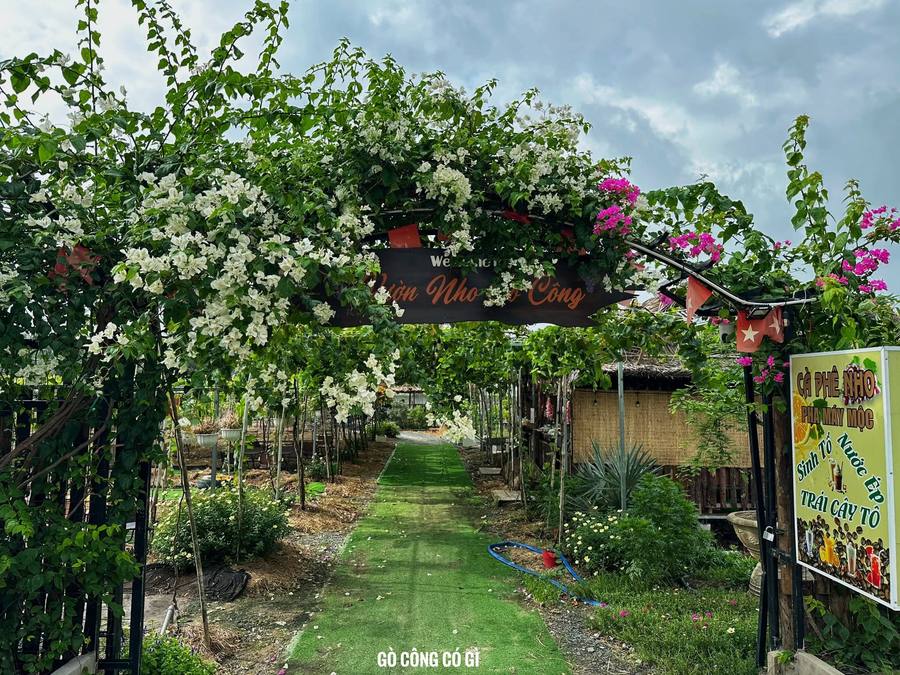 Quán cà phê vườn nho