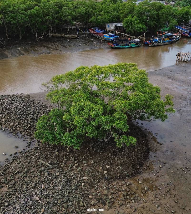 Biển Tân Thành từ trên cao