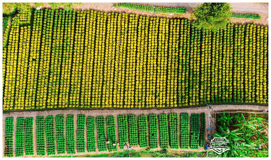 Công Hoa Thạnh Trị từ trên cao 2020
