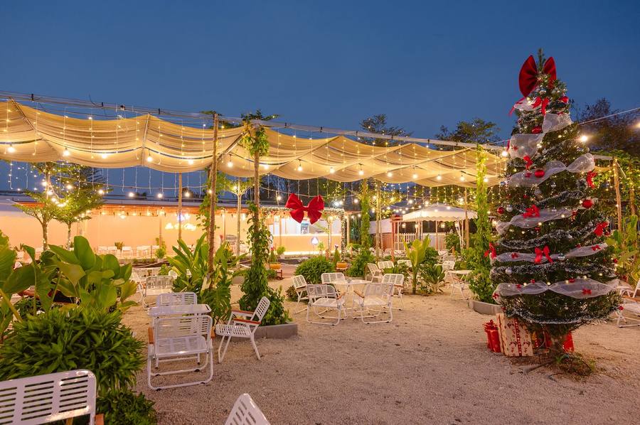 Cafe Hoa Đủ Nắng