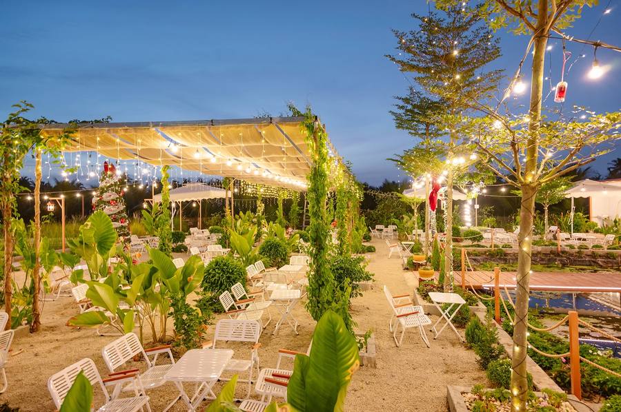 Cafe Hoa Đủ Nắng