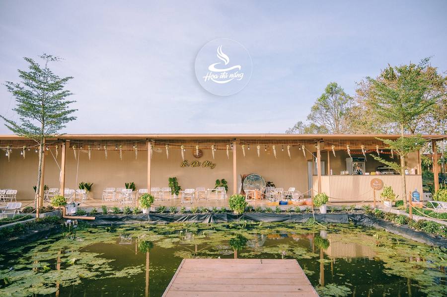Cafe Hoa Đủ Nắng