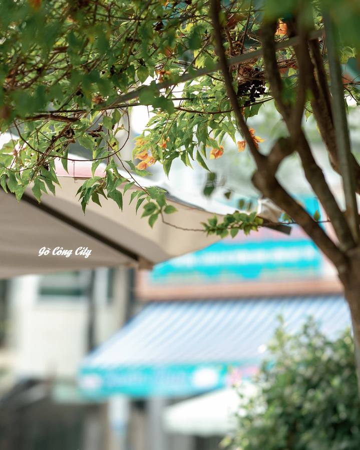 Cafe Đàng Trong góc đường hàm cá mập đẹp bật nhất Tiền Giang